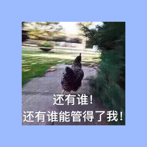 午夜色综合
